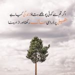 Motivational Urdu Shayari on life