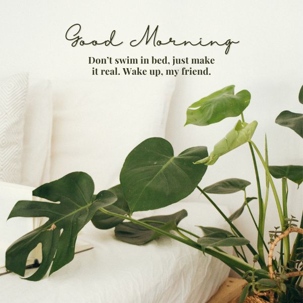 good morning Instagram quotes