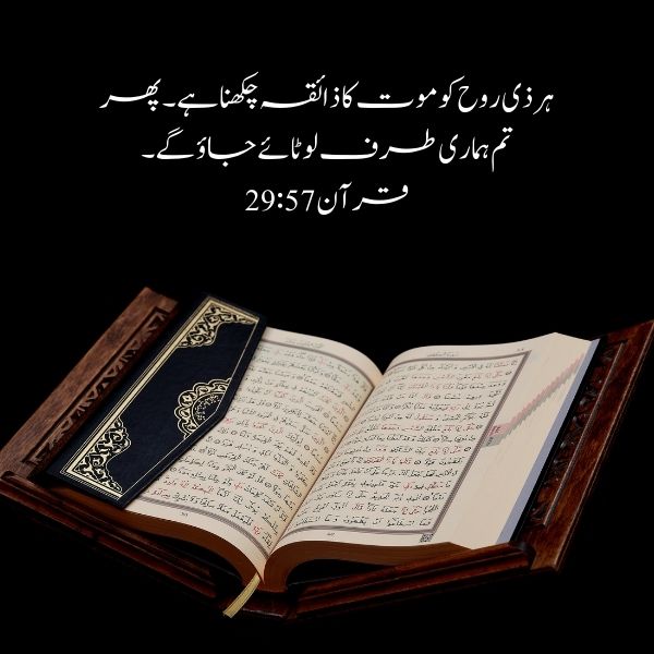Islamic Quotes About Life in Urdu