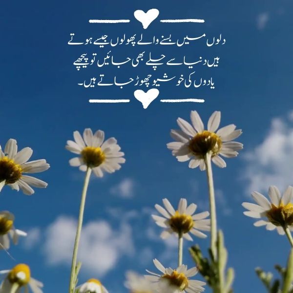Love Quote urdu