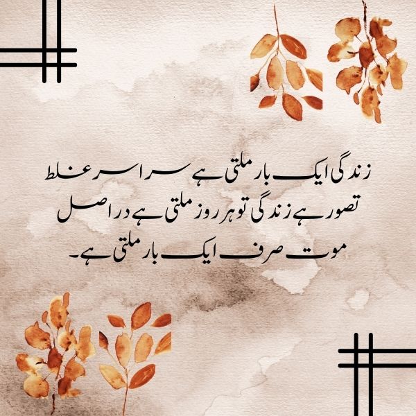 Short inspirational urdu quotes about life