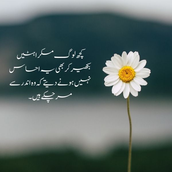 beautiful quotes on life in urdu