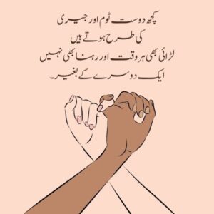 22 Best Urdu Quotes on Friendship | Dosti Quotes images