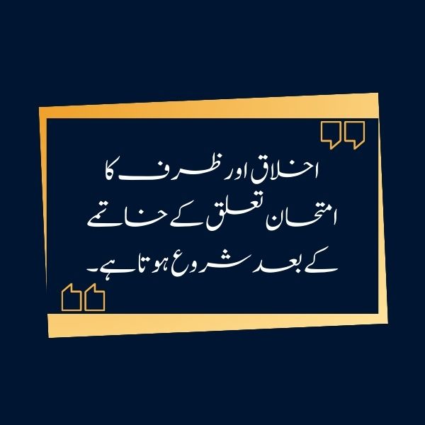 quotes in urdu text